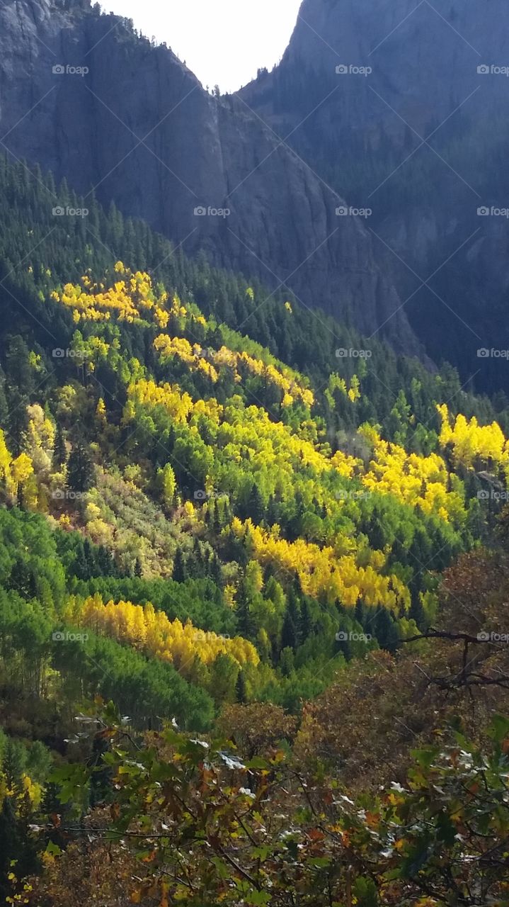 Mountain, Wood, Landscape, Nature, Fall