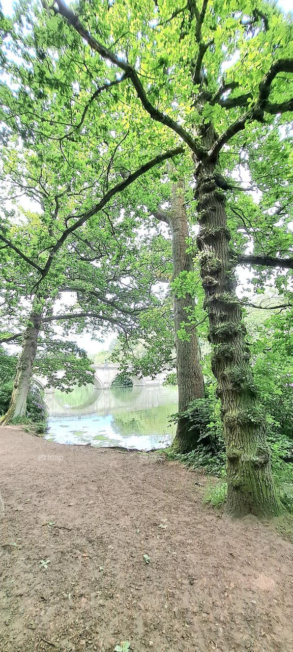 River, Trees, Bridge and footpath