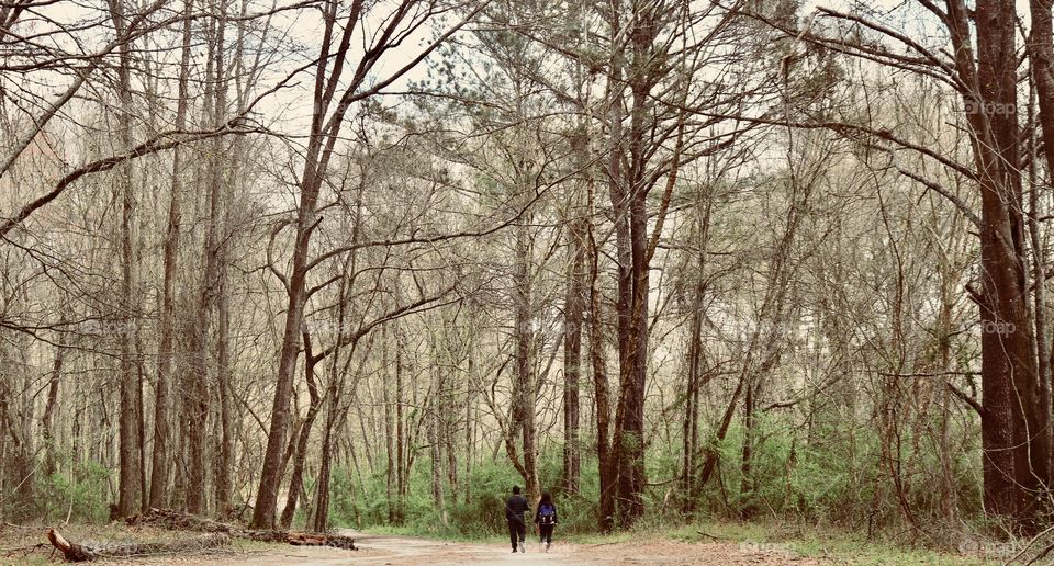 Two people having a stroll at a tree-lined trail