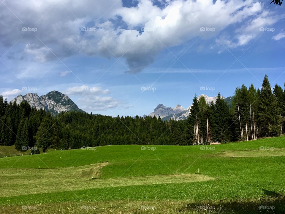 alpine landscape of meadows and woods on the background of the dolomites