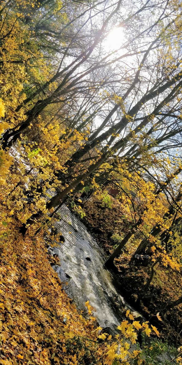 autumn time, Germany