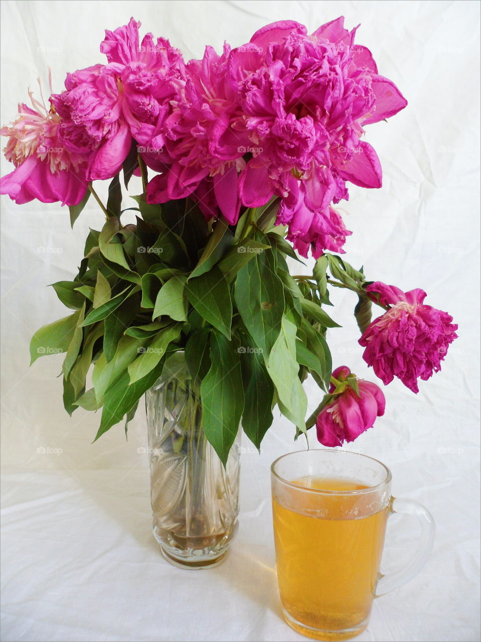 pink bouquet of withered pion flowers and a cup of green tea on a white background