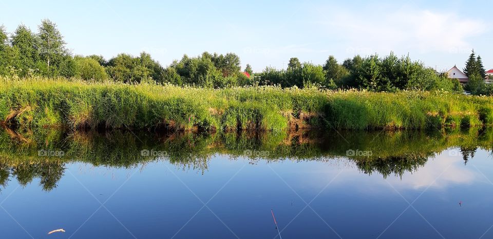 the river Bank is reflected in the water
