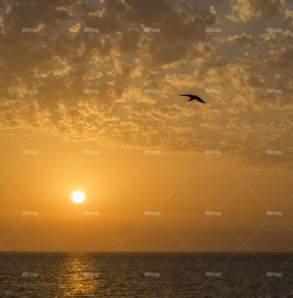 Flying towards the sun