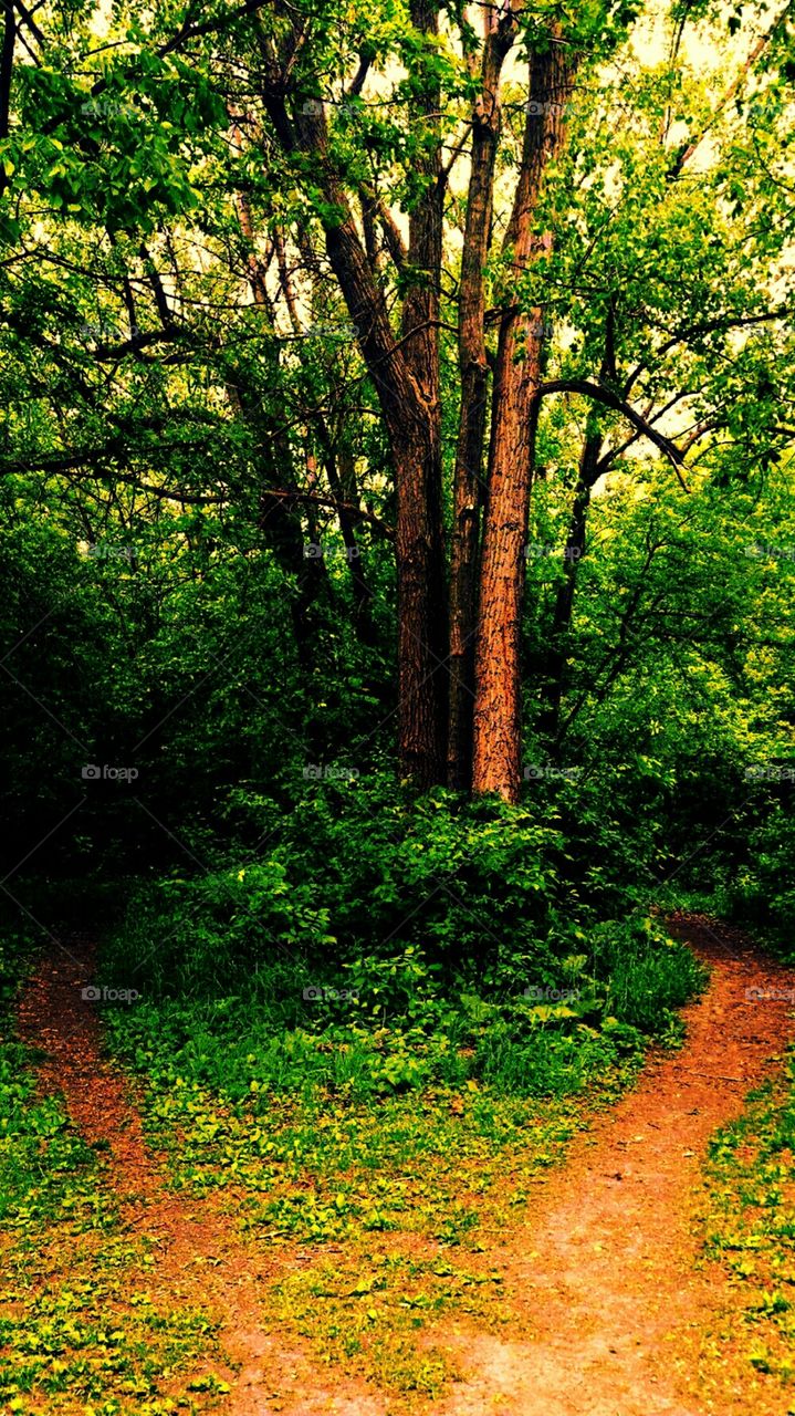 which way is the right