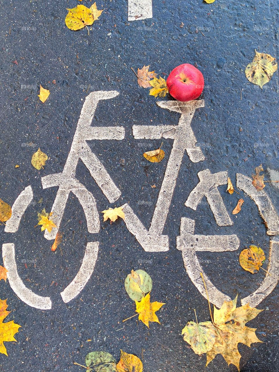 Autumn.  There is a white bicycle sign painted on the asphalt.  There is a red apple on the cushion of the bicycle.  Colorful autumn leaves lie around