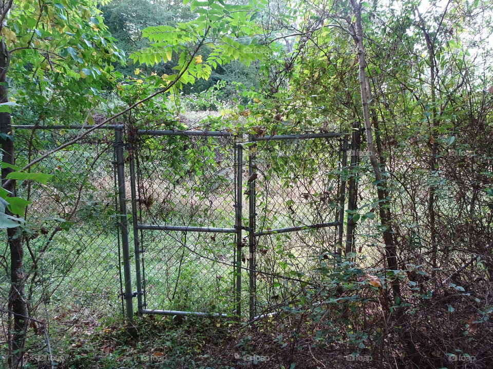 abandoned fence