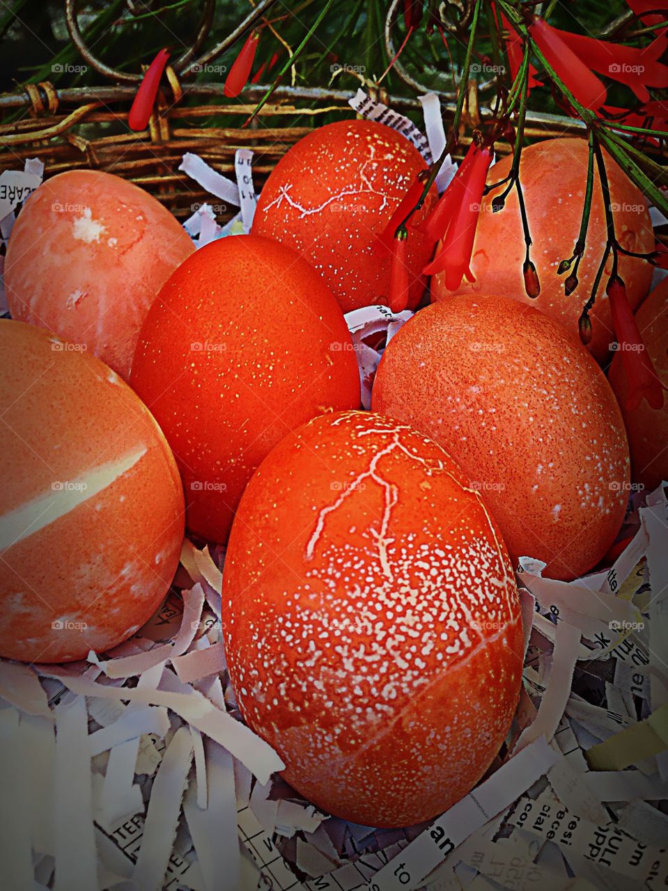 Beautiful orange textured eggs in an outdoor basket.