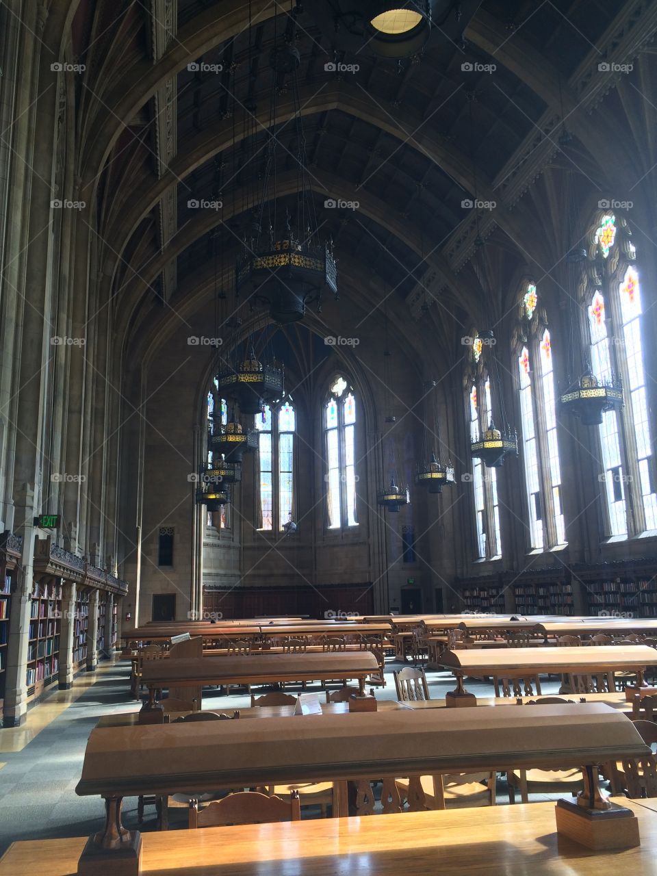 University of Washington "Harry Potter" library 