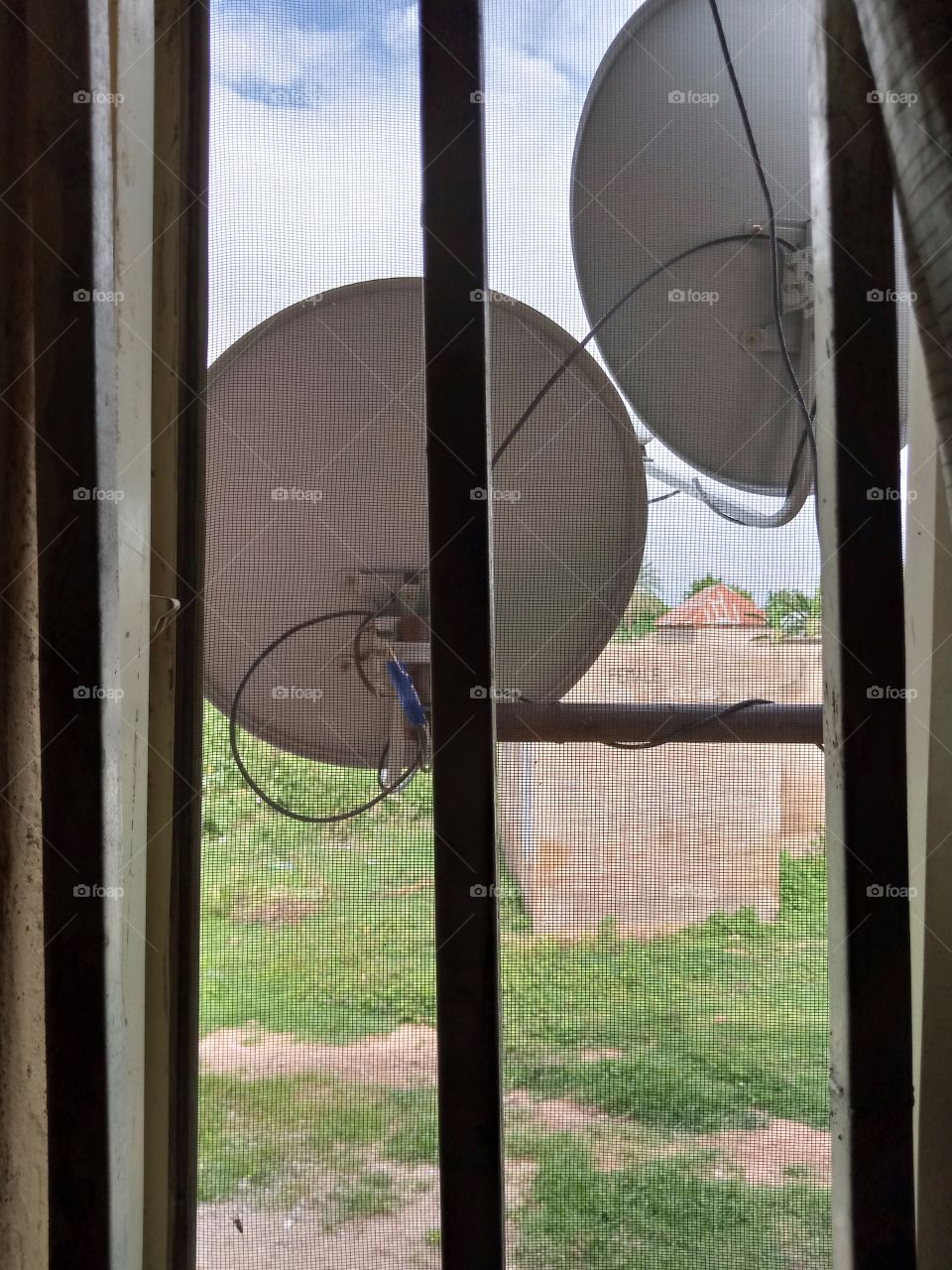 satellite dish for strong satellite receiver captured through the window, with a reserved land with grasses and flowers.