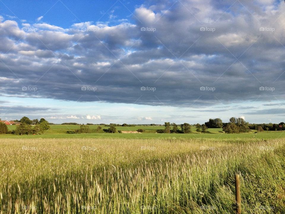landscape sky green sweden by reneebacke