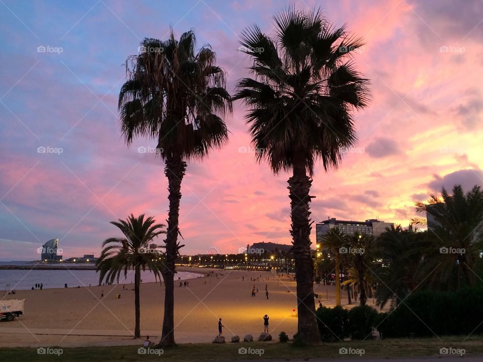 Colorful Sunset in Barcelona with palms and beach