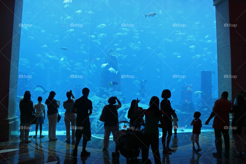 People, Aquarium, Music, Underwater, Group