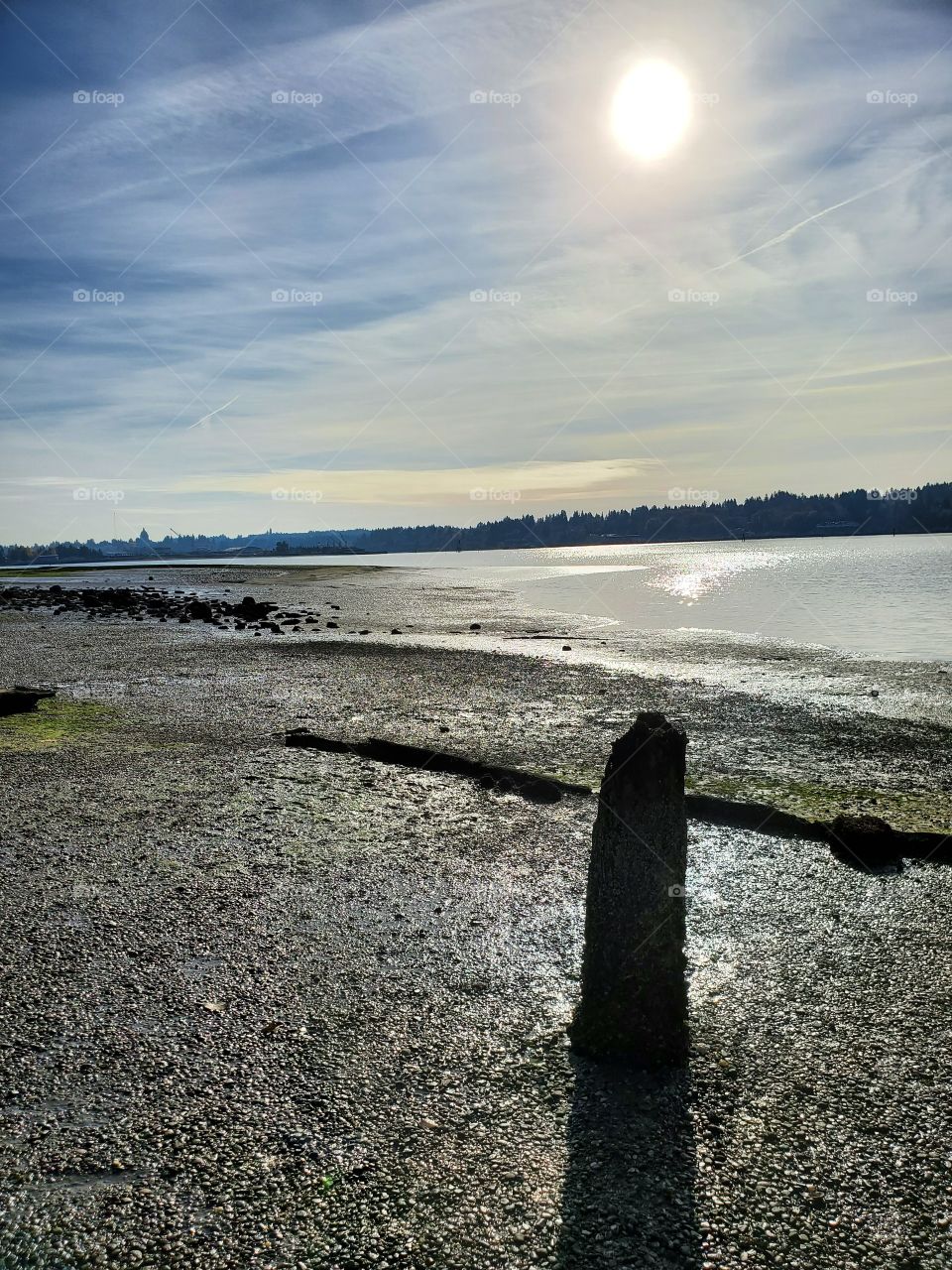 Beach, Water, Sea, Ocean, Sun