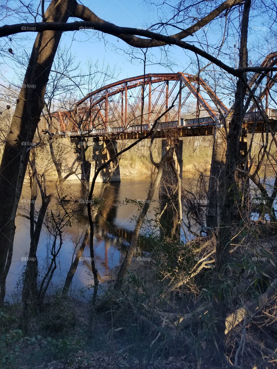 Railroad crossing Cape Fear River in the North Carolina woods