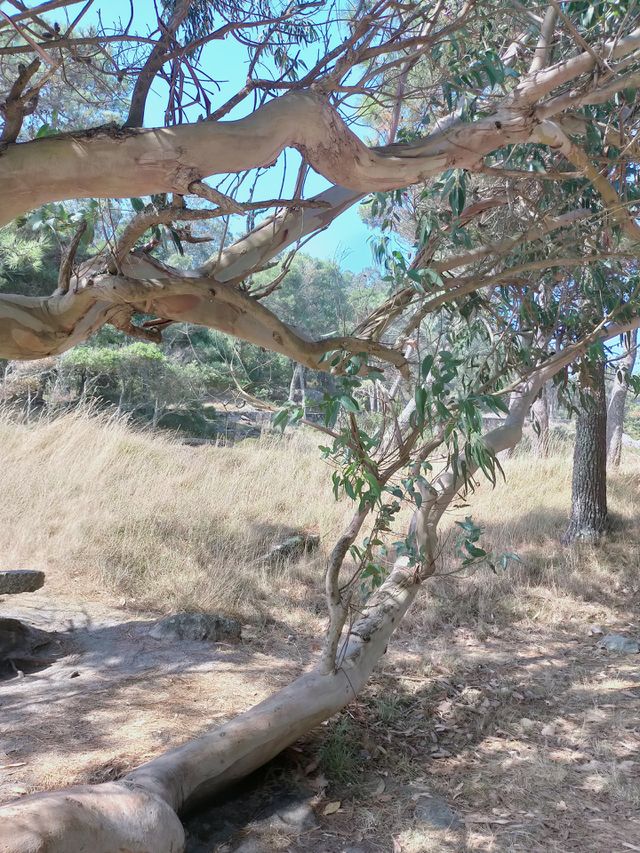 natureza
