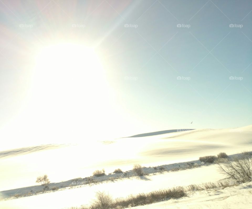 bright sun on the snow