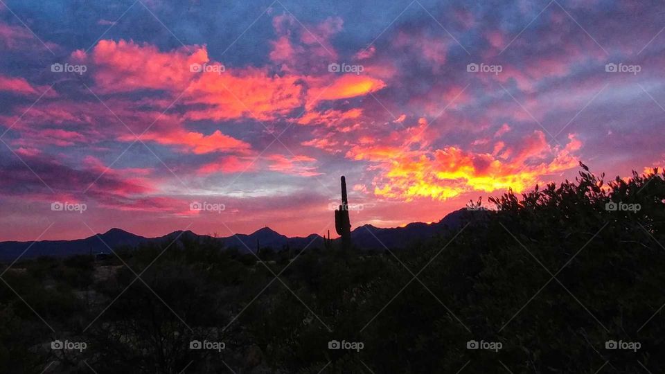 Last rays of light illuminate the desert sky in a brilliant sunset.