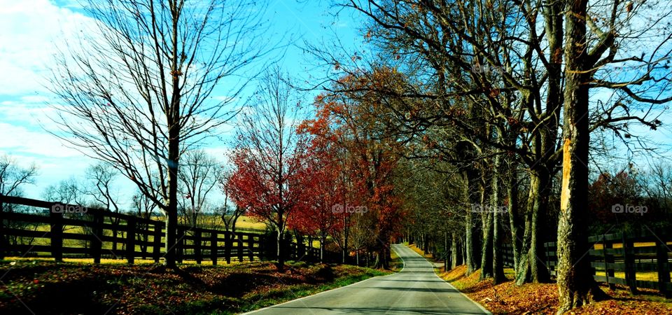Winding country road in the Kentucky countryside - near Lexington 