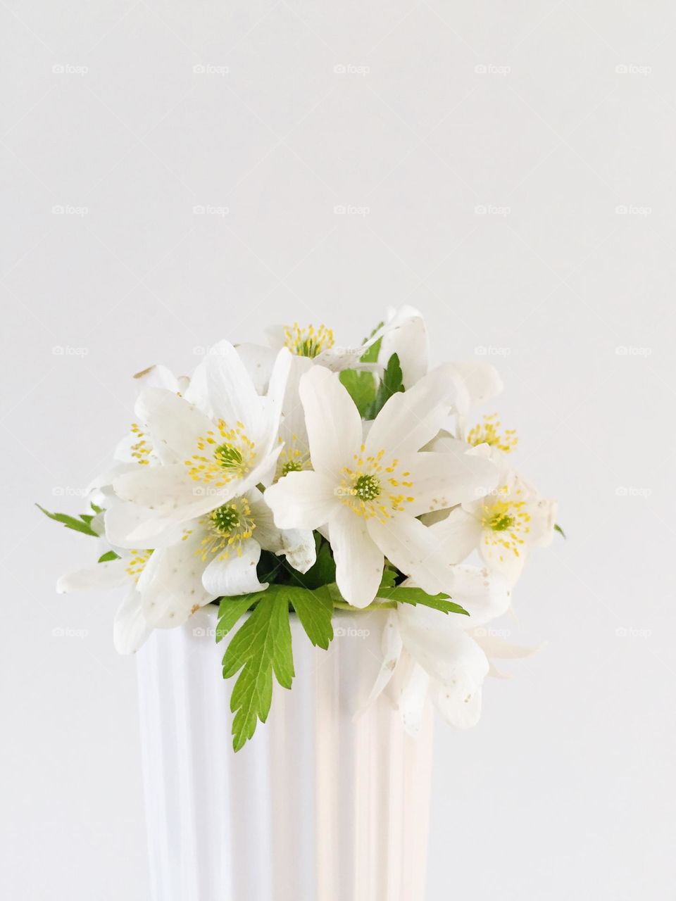 White flowers in vase