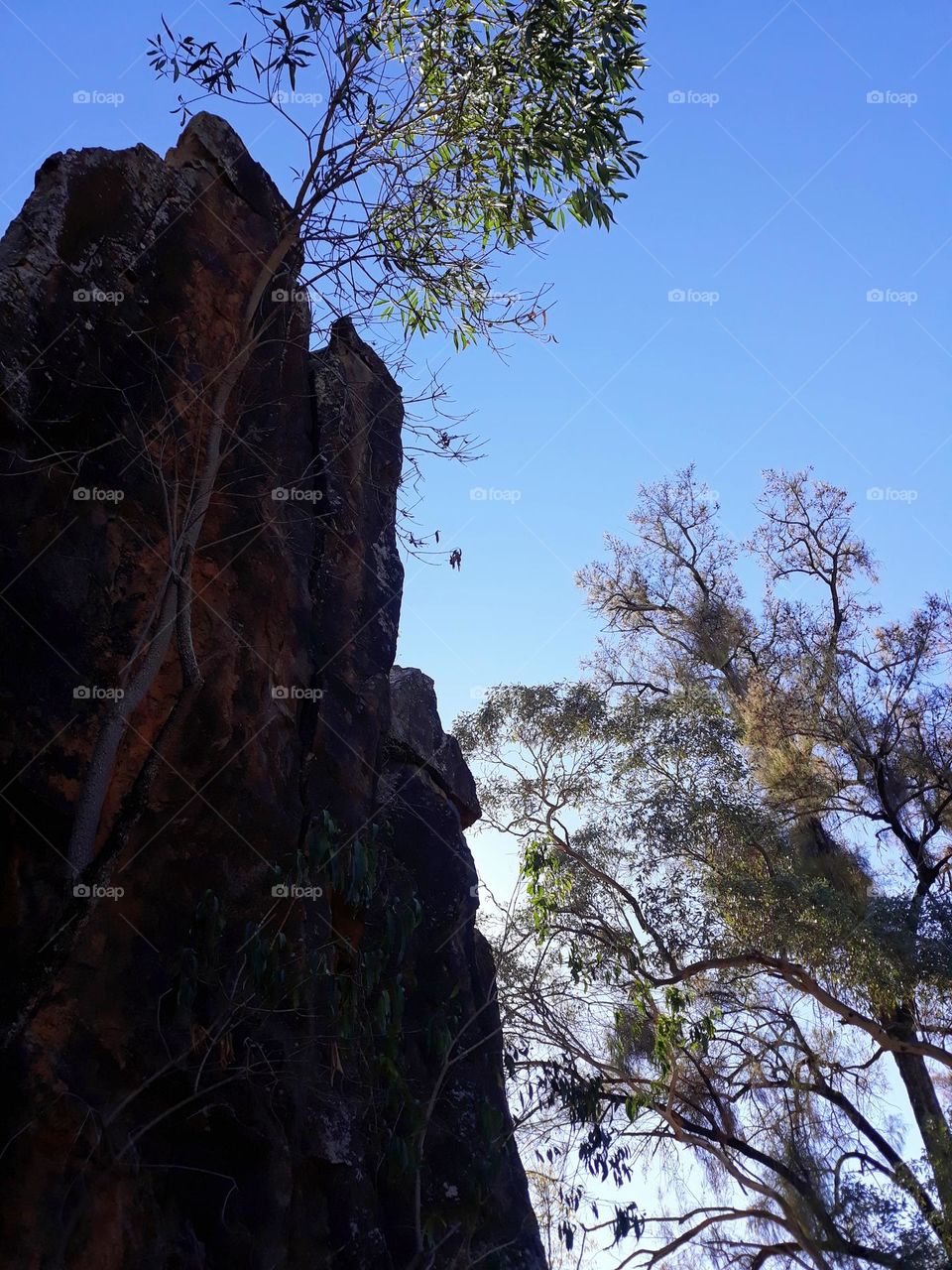 from the ground looking up at a rock formation in coonabarrabran NSW Australia