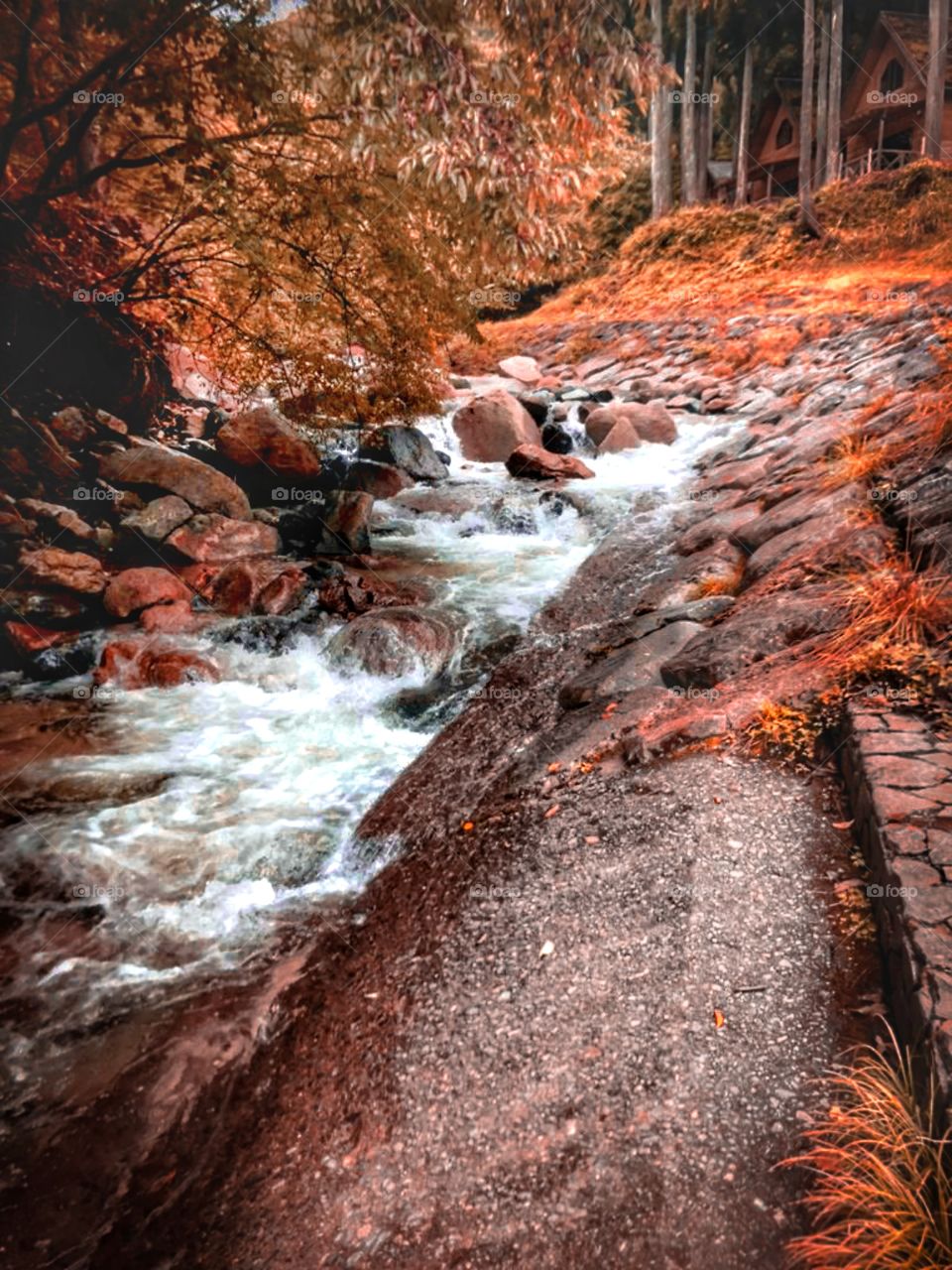 beautiful natural stream, amazing environment