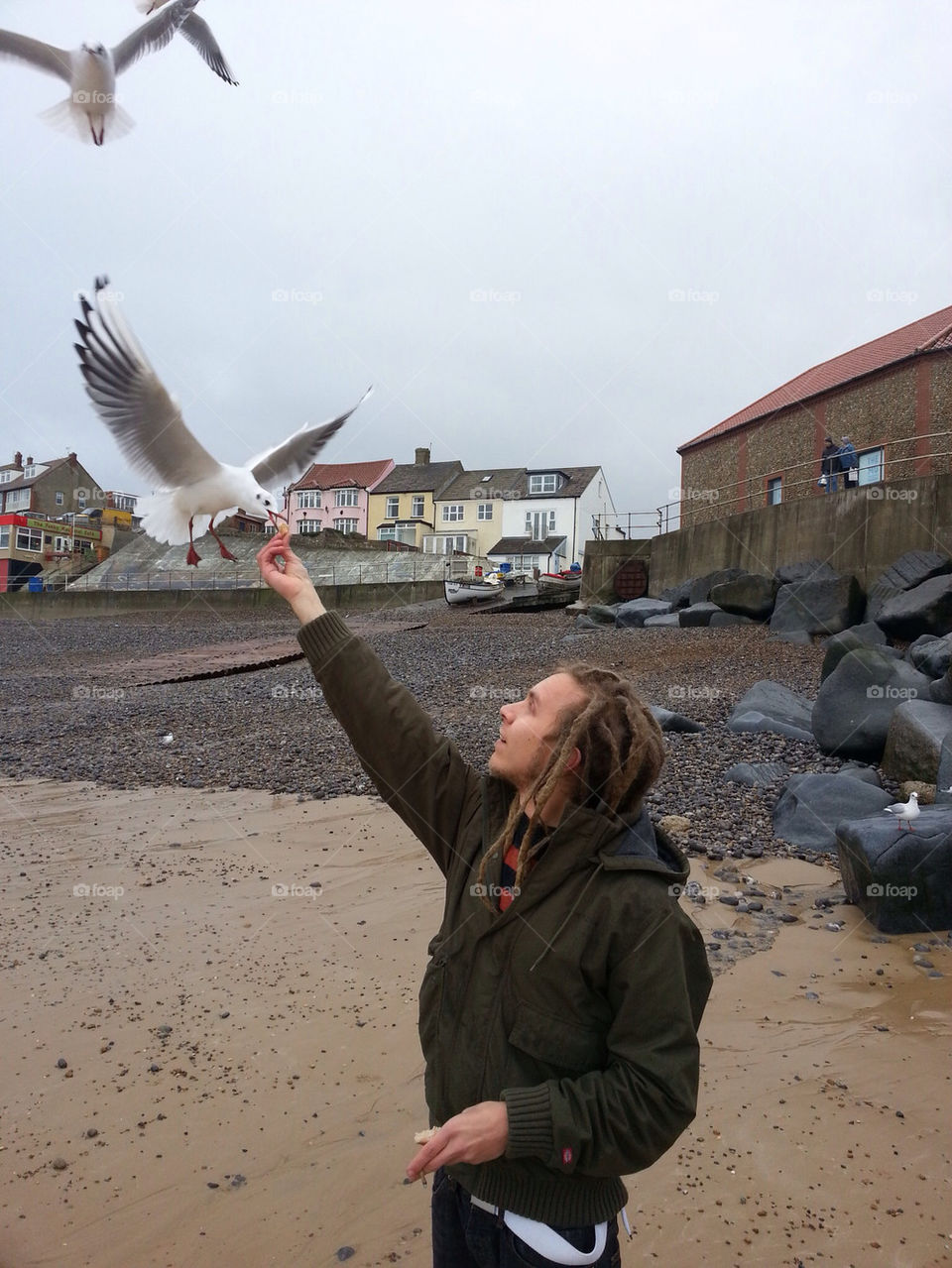 HAND FEEDING SEAGULLS