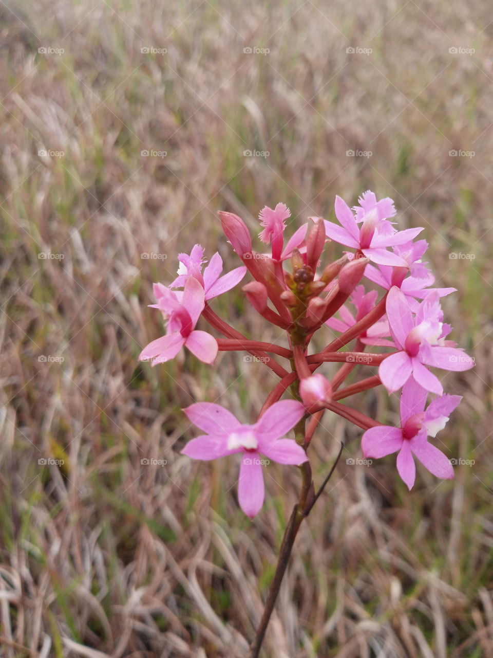 true photos #truephotos