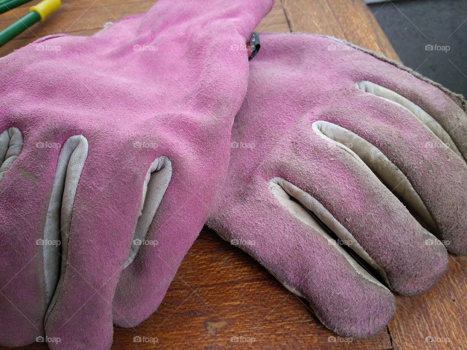 pink gloves