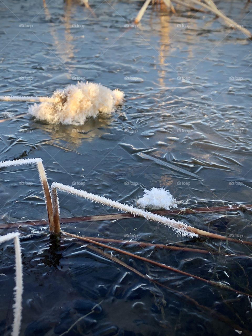 Ice covered water. Winter exploring.