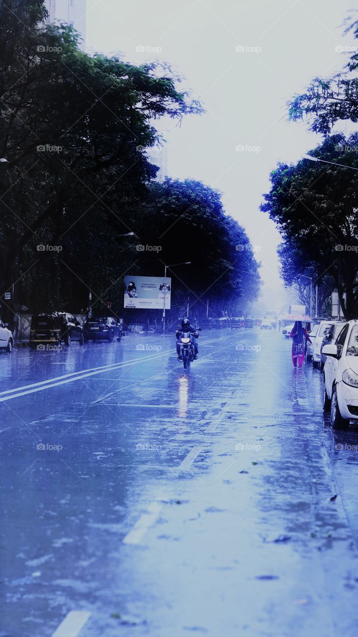 Rainy Season, Wet Road
