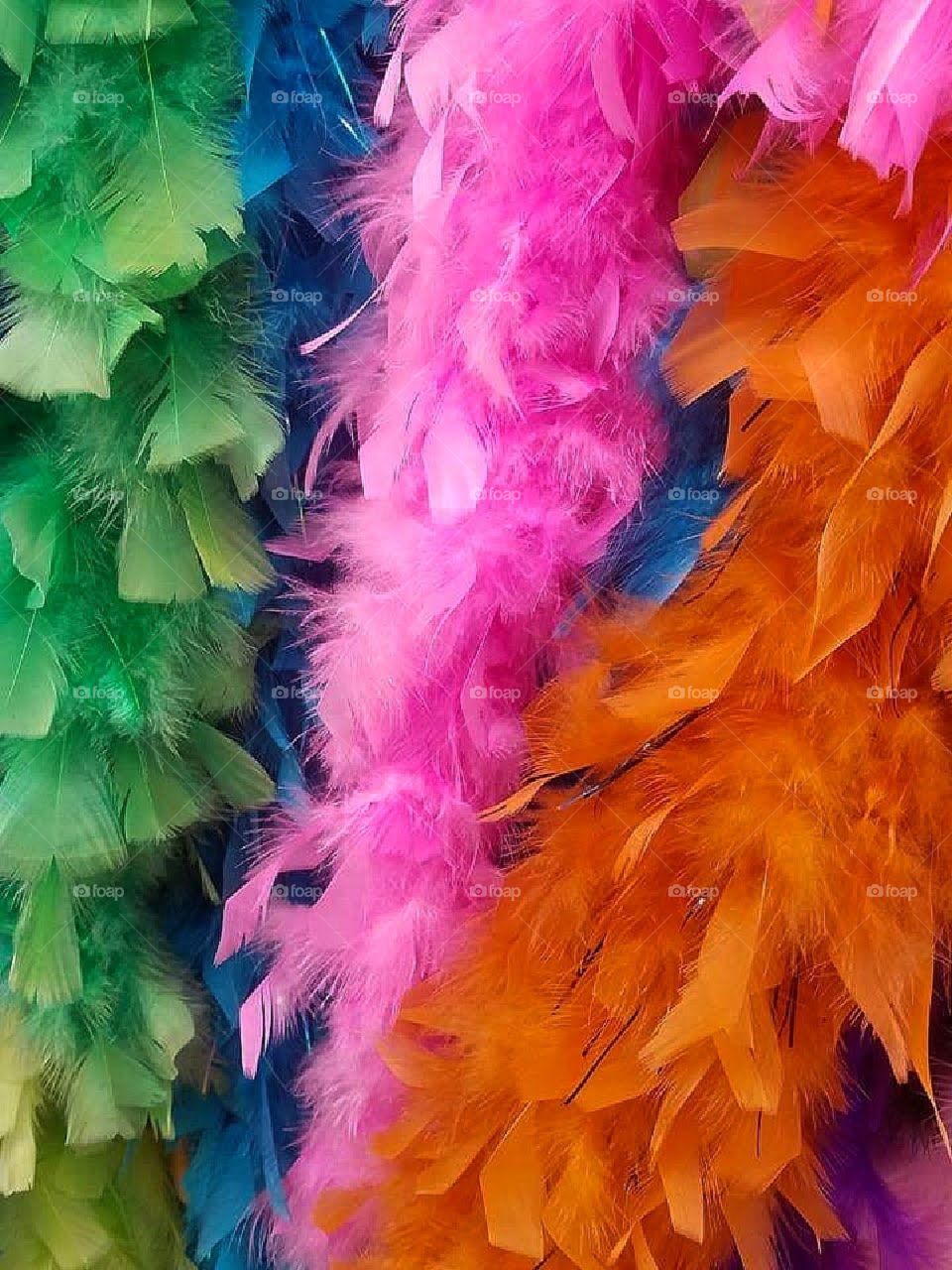 Feather boas