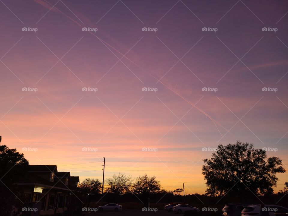 Pretty Florida VIBES