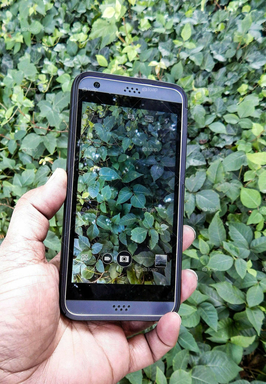 Photography With Cellphone