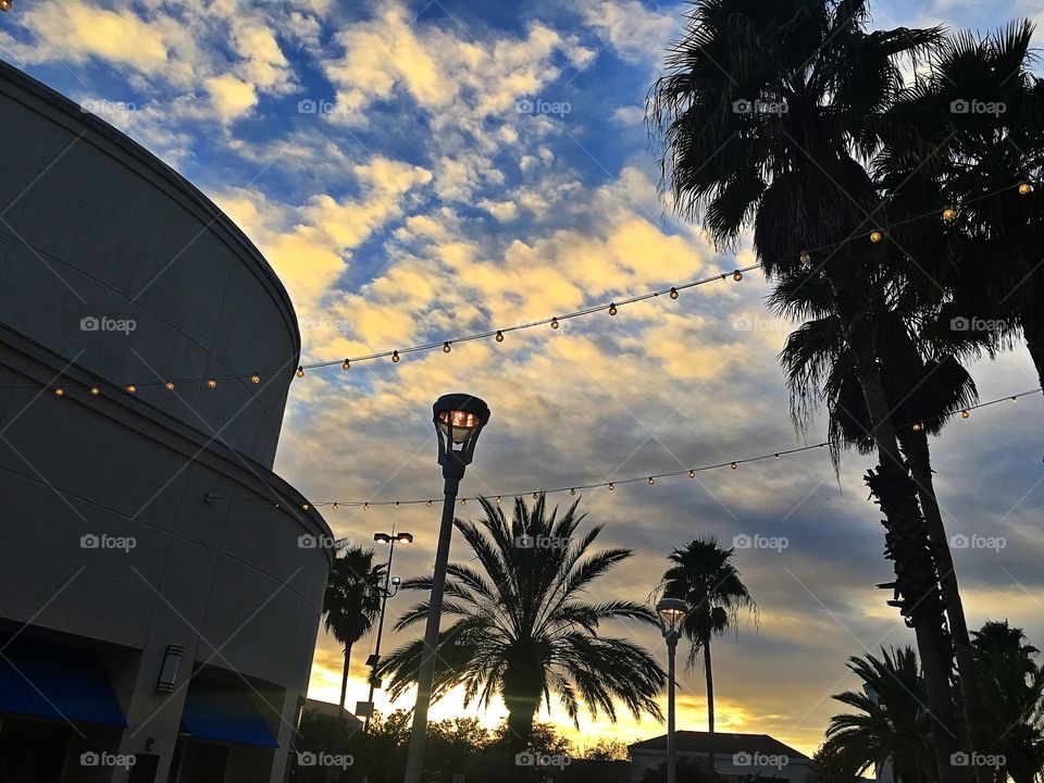 January Florida Evening