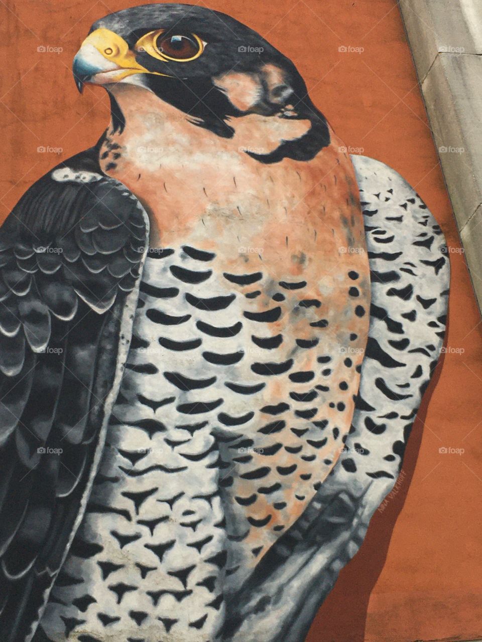 bird painted on the wall