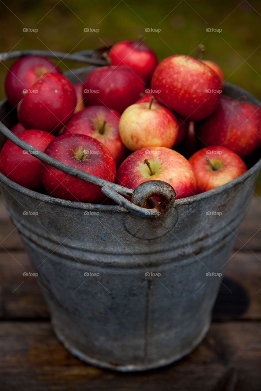 Red Apples 