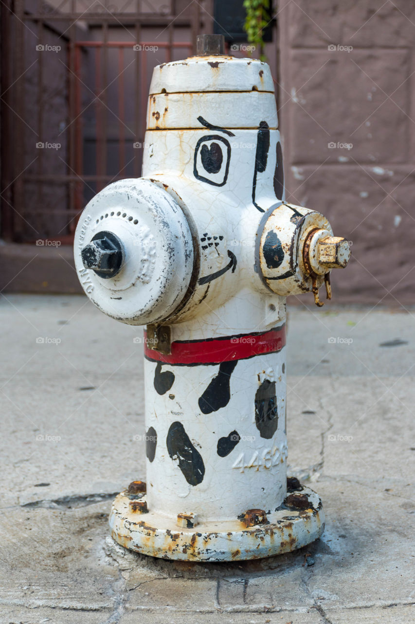 Fire hydrant Doggy.