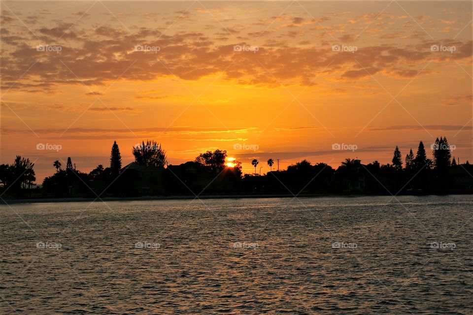  Tampa Bay Sunset Silhouette 