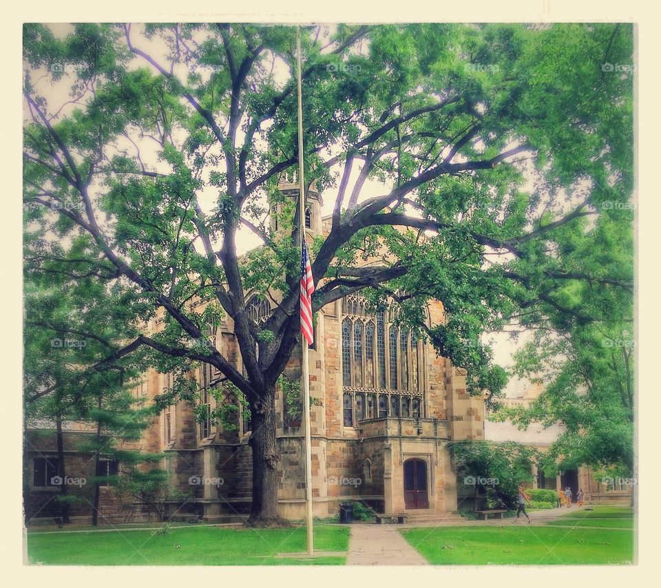University of Michigan Law School 