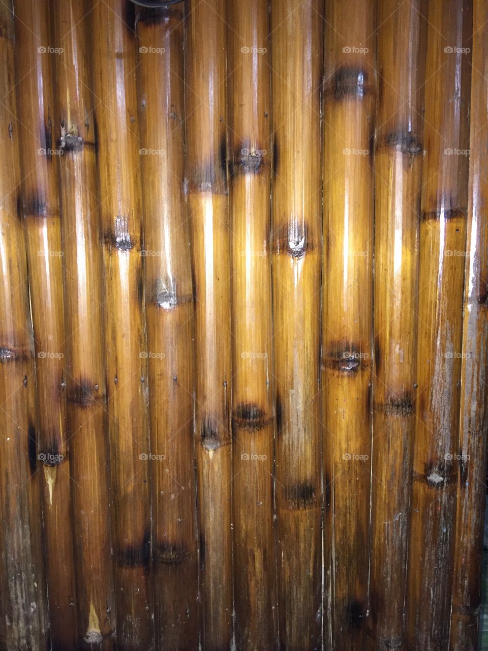 Bamboo
