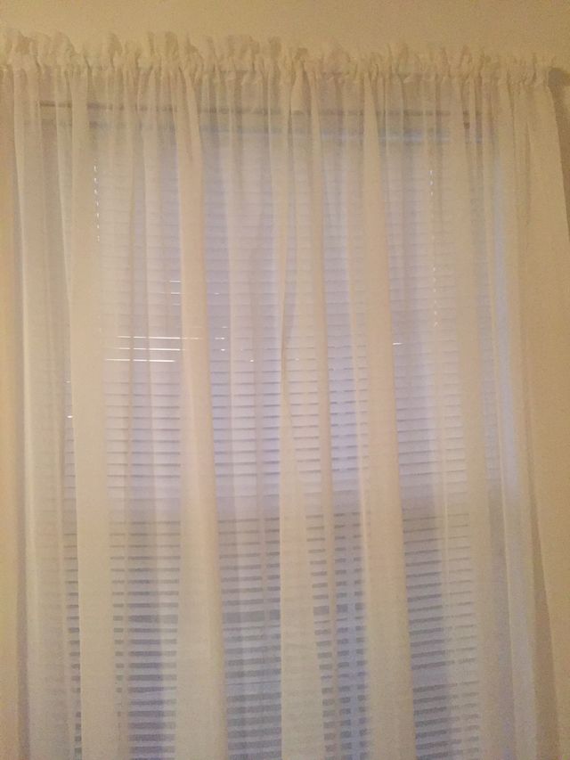 Window 