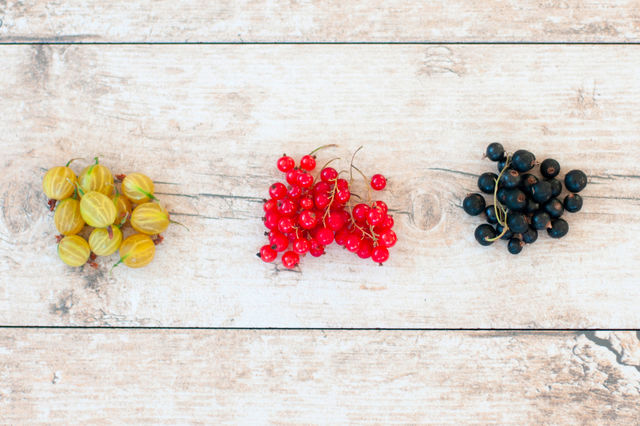 Fresh berries