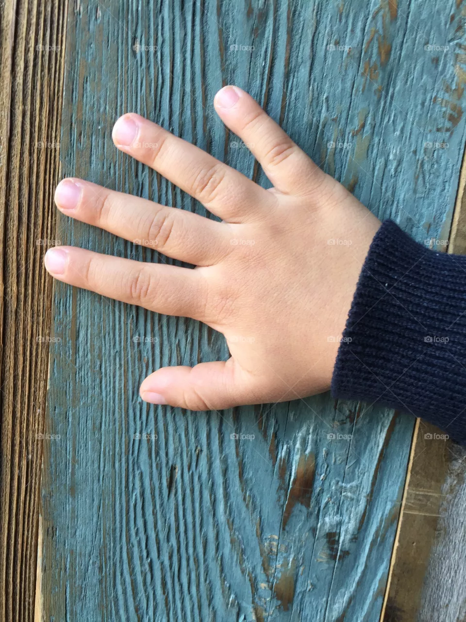 Hand
