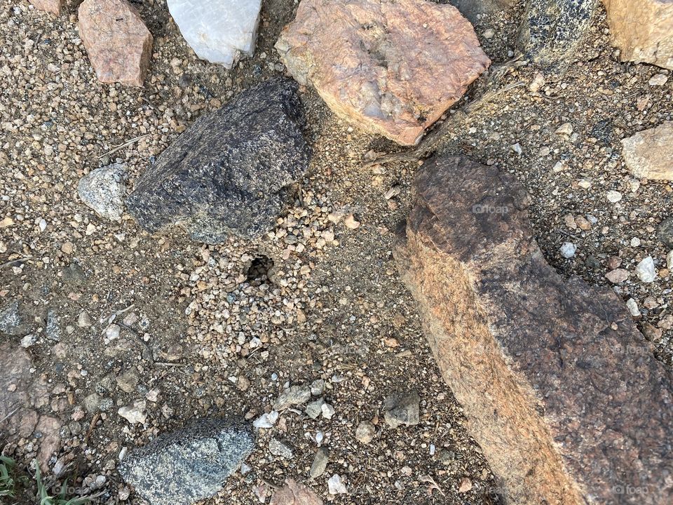 in the beloved land of taif , favorite photo for me 