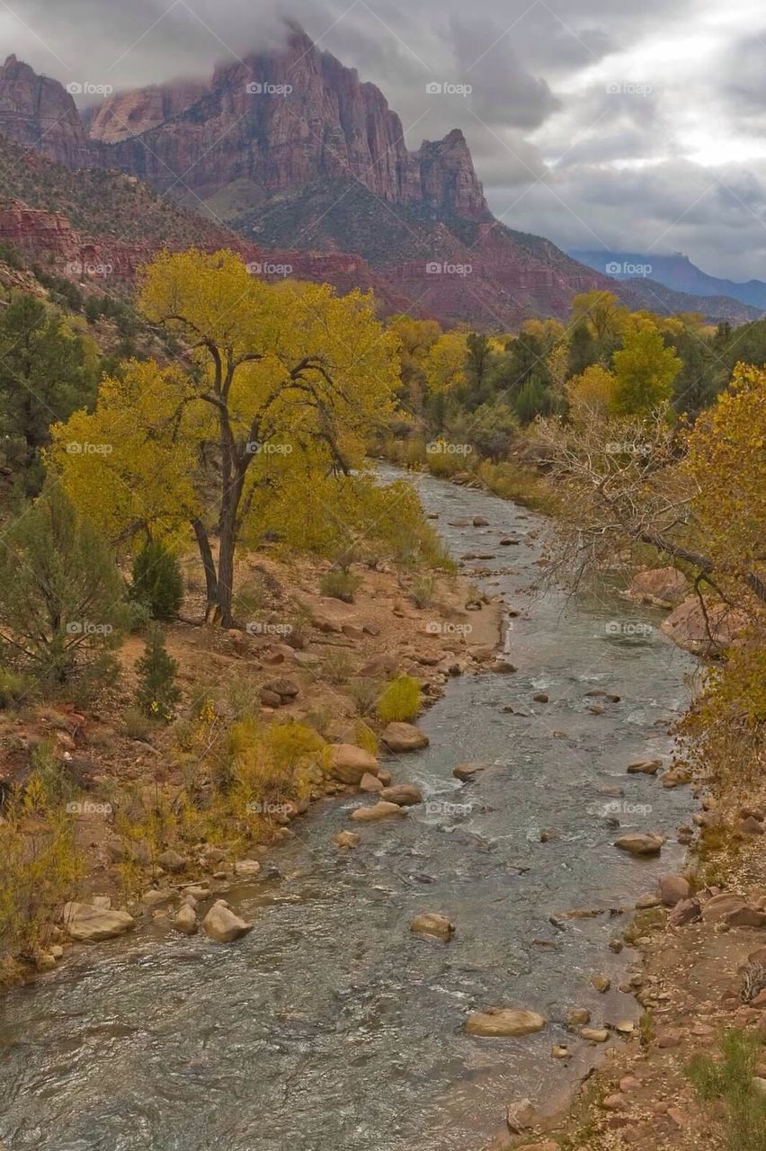 Zion National Park