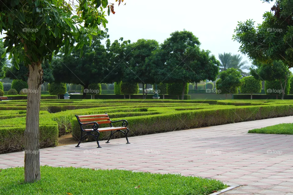 Park
