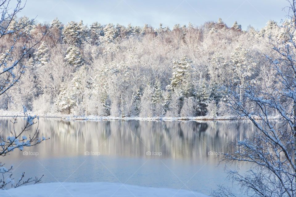 Beautiful forest covered in snow by a small lake on beautiful sunny calm winter day, reflection in the partly frozen water 