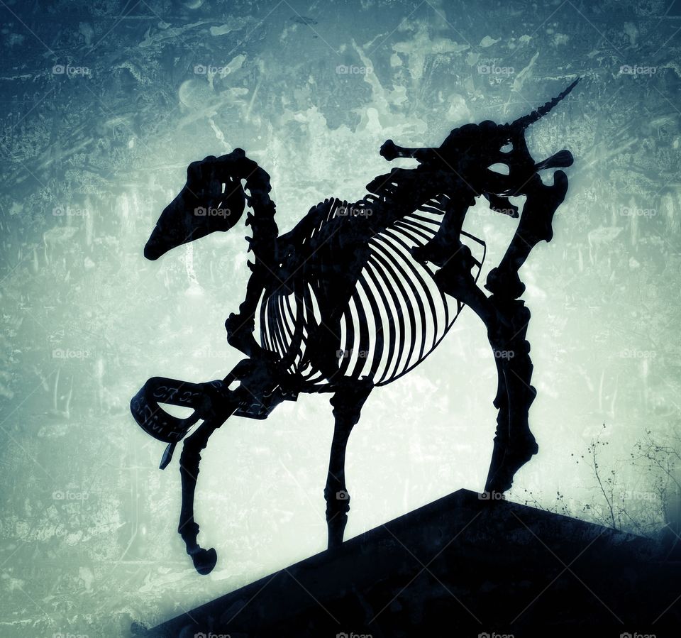 The skeleton of a large animal on a pedestal.