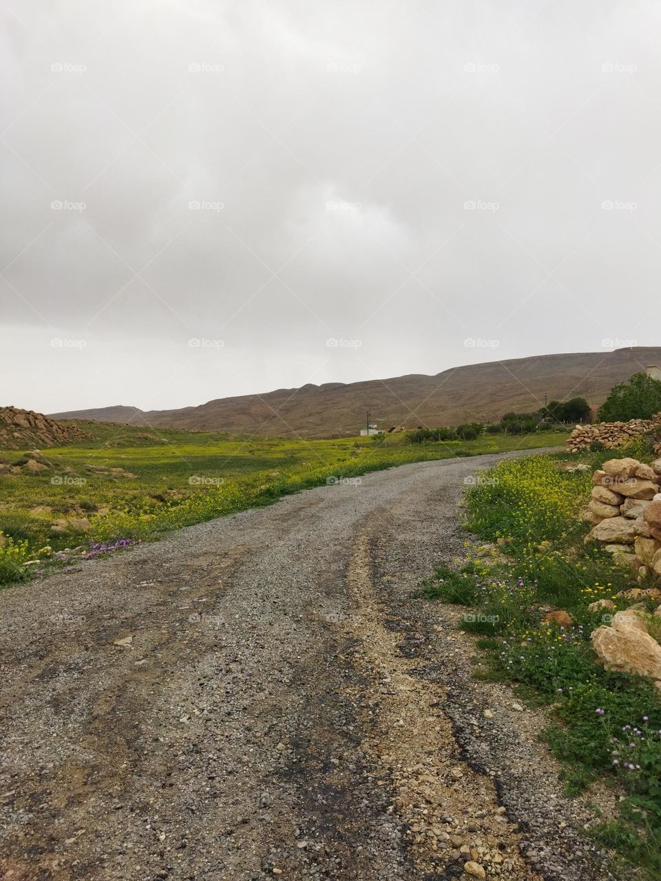 countryside road.